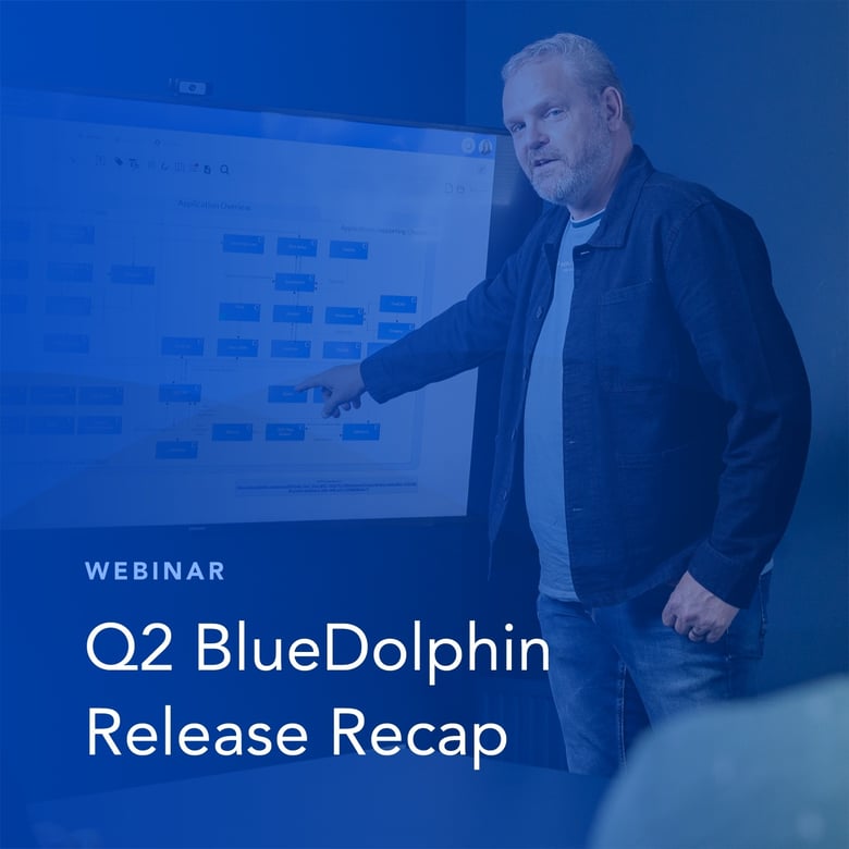 Q2 BlueDolphin Release Recap